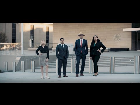 gallery video image