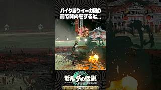 バイク乗りイーガ団の前で焚火をすると…【ゼルダの伝説 ティアキン】