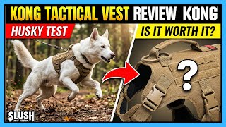 KONG Tactical Vest Review: Is It Worth It? (Husky Test)