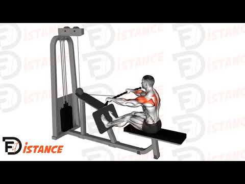 Rowing (tirage) pour l'arrière des épaules à la poulie - Exercice Rowing (tirage) pour l'arrière des épaules à la poulie en vidéo