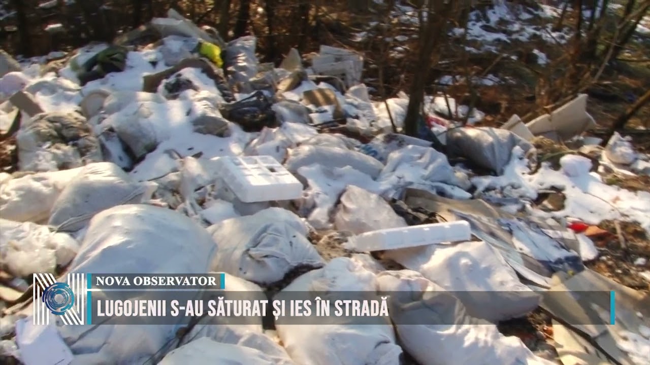 LUGOJENII S-AU SĂTURAT ȘI IES ÎN STRADĂ
