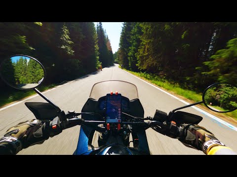 POV Forest Ride | Scenic Mountain Road in Romania