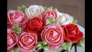 Роза кустовая крем грация