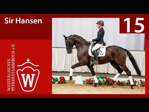 15 Sir Hansen Wallach v. Scuderia - Basic