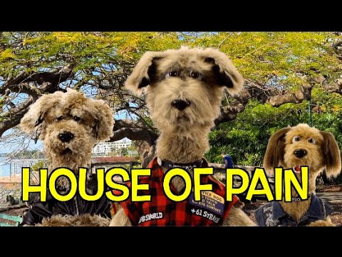 HOUSE OF PAIN - JUMP AROUND - DOG VERSION