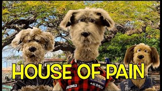 HOUSE OF PAIN - JUMP AROUND - DOG VERSION