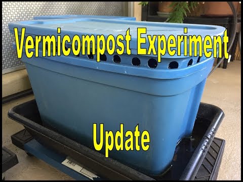 Vermicompost Experiment: Update 20, Bins 2 & 3
