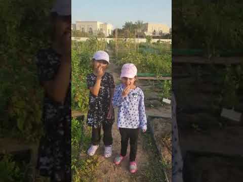 Insiya's visit to Farm