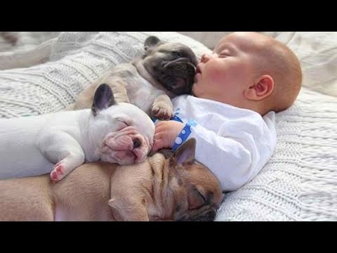 Aucune enfance n'est complète sans un chien ❤️