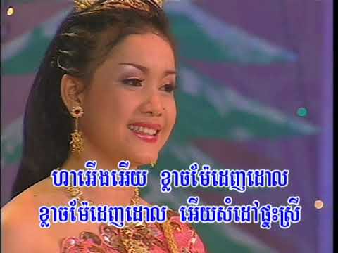 Reymeas DVD Vol 23-5 Karaoke Song