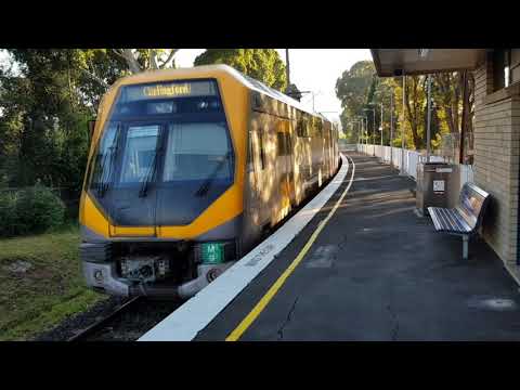 SRF231: (SRF QUICKIE) CAMELLIA STATION