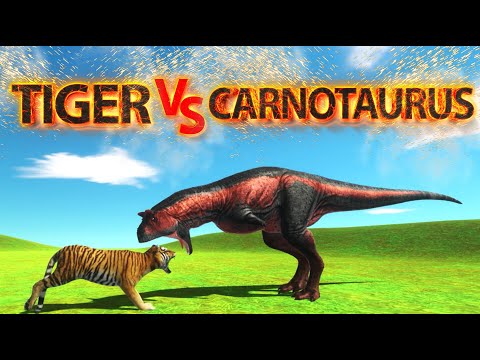 TIGER Vs CARNOTAURUS ! ARBS