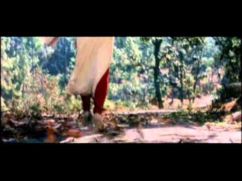 Poster gum sum si ho