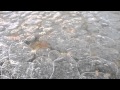 Water Moving Under Ice 