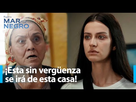 Los hermanos Kaleli defienden a Nefes - Mar Negro Capítulo 22 | Fugitiva