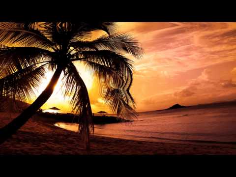 Afrojack and Steve Aoki ft. Miss Palmer - No Beef vs Bingo Players - Out Of My Mind