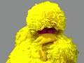 Sesame Street Big Bird Sings Eight Balls Of Fur 1997 Present