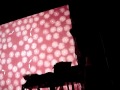 Broadcast - Black Cat