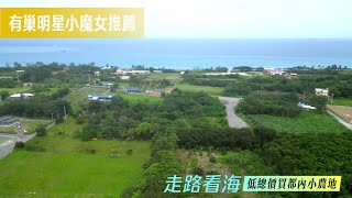 🍀花蓮近新城老街🍀走路看海｜一分都內美農地（🈶2塊可選）小魔女🧙‍♀️5星推薦❤️