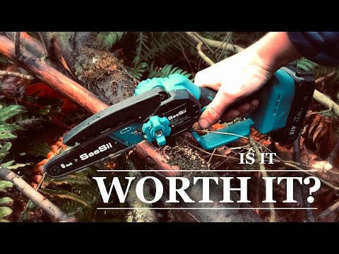 I tested this 6 inch handheld chainsaw | Seesii Mini Chainsaw Review