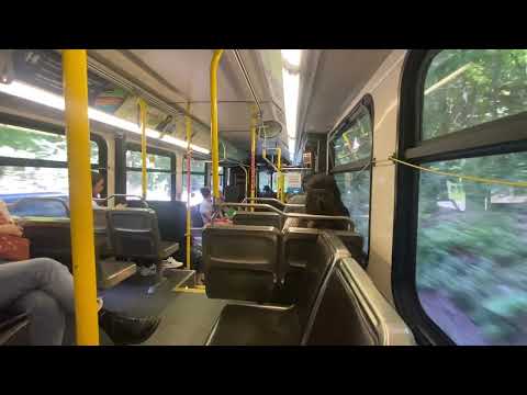 Hamilton Street Railway 2005 New Flyer D40LF 0520 on route 34A Upper Paradise