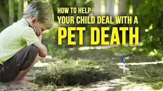 3 Ways To Help Your Child Cope After A Pet Dies