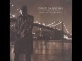 03 •  David Sanborn  - Listen Here