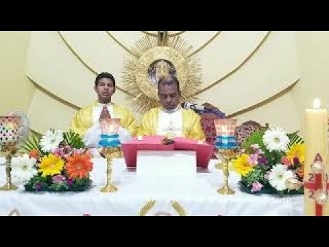 Live Sunday Holy Mass | May 17 | 7.00 am