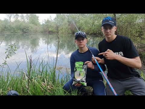 Pecanje na "Bari" sredinom proljeća. Prvi ribolov i ulovi sa bare