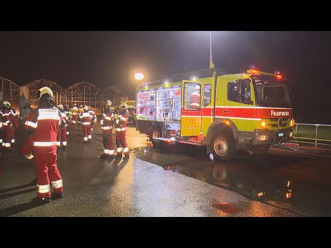 Schwerzenbach ZH: Brand zerstört Gewächshäuser