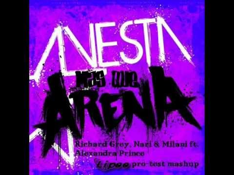 Richard Grey, Nari & Milani ft. A.Prince vs. Avesta - Mas que Arena (Lipee pro-test mashup)