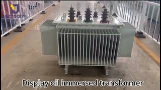 Display oil immersed transformer