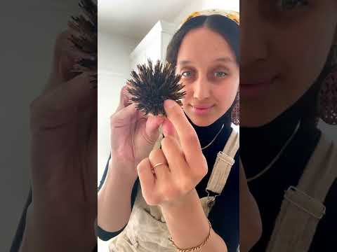 Part of a video titled How I avoid getting MOLD on my wooden scrub brushes - YouTube