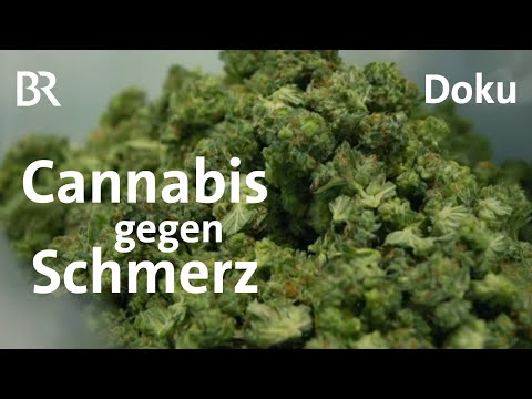 Gras auf Rezept: Medizinisches Cannabis im Kreuzfeuer | Doku | BR Story