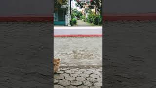 Download lagu #songlyrics #music mp3 Download lagu #songlyrics #music mp3