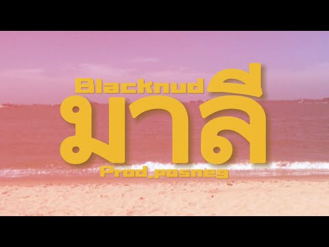 BLACKNUD- มาลี - prod. Posneg (official mv)