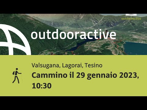Cammino il 29 gennaio 2023, 10:30