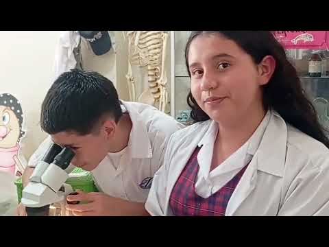 Semillero de investigación Conservando y Contando: Macroinvertebrados y STEM+ para la conservación