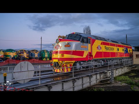 Steamliners 2022 - Goulburn, New South Wales - Australia