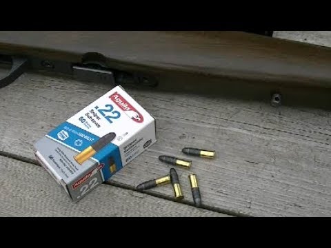 Aguila  .22 Sniper Subsonic Ammo Test