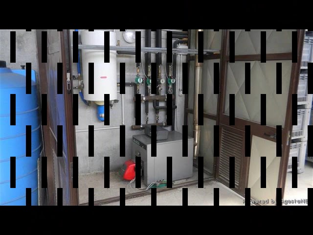 Azienda agricola in VENDITA  ABBADIA SAN SALVATORE