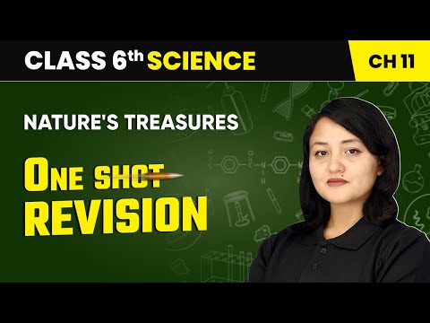 The Wonderful World of Science One Shot Revision Class 6 Science Chapter 1 CBSE 2025 26
