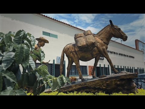 Caficultores: ejemplo de progreso