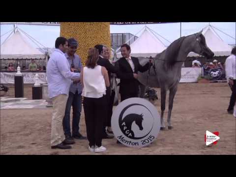 2nd place N.125 EKS MANSOUR - Menton 2015 - Junior Male Championship (Class 14)