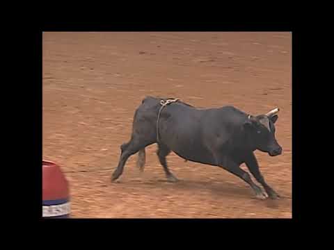 Chuck White vs Risky Business - 97 PBR Richmond (88 pts)