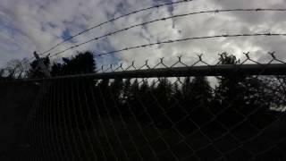 Scurvy Bastards: Damn The Man