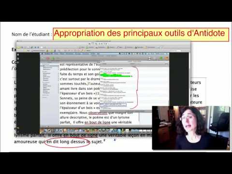 comment ouvrir antidote dans word