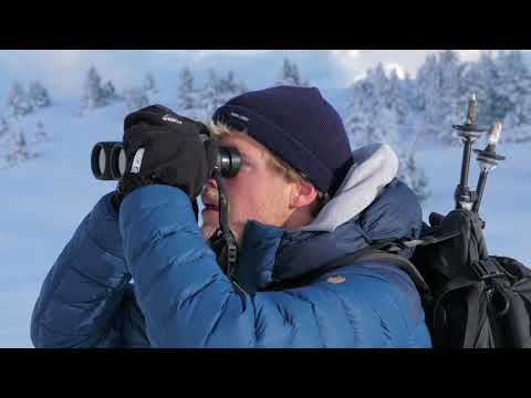 Une Aventure dans le Vercors, France