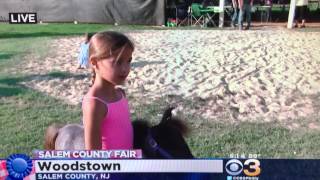 Mini Pony packs a punch. Live report from the Salem County Fair on CBS3 Eyewitness News.