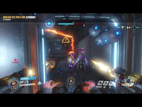 schwabbel ninja hamster